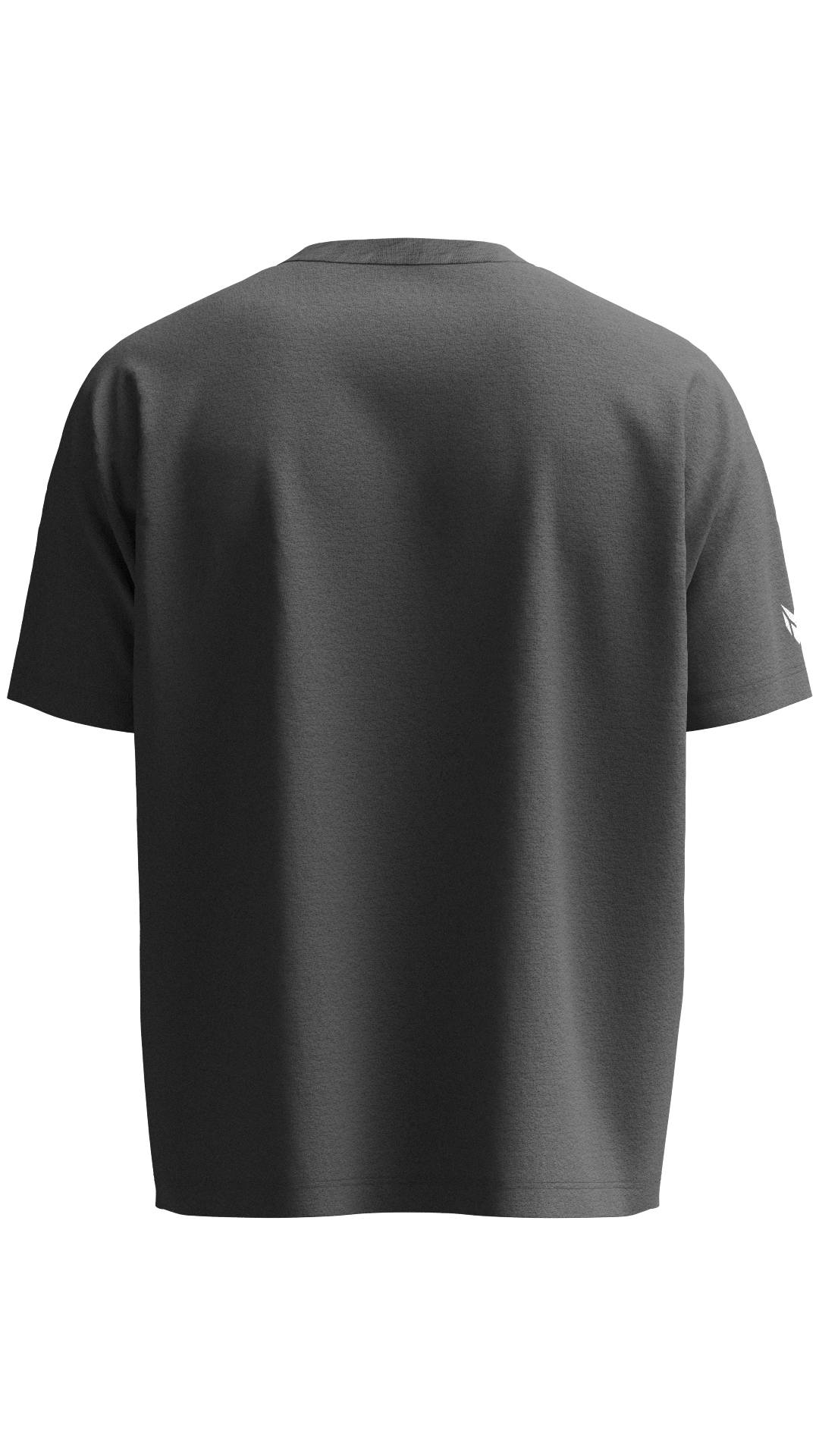 Solid T-shirt (Grey)