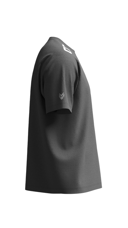 Solid T-shirt (Grey)